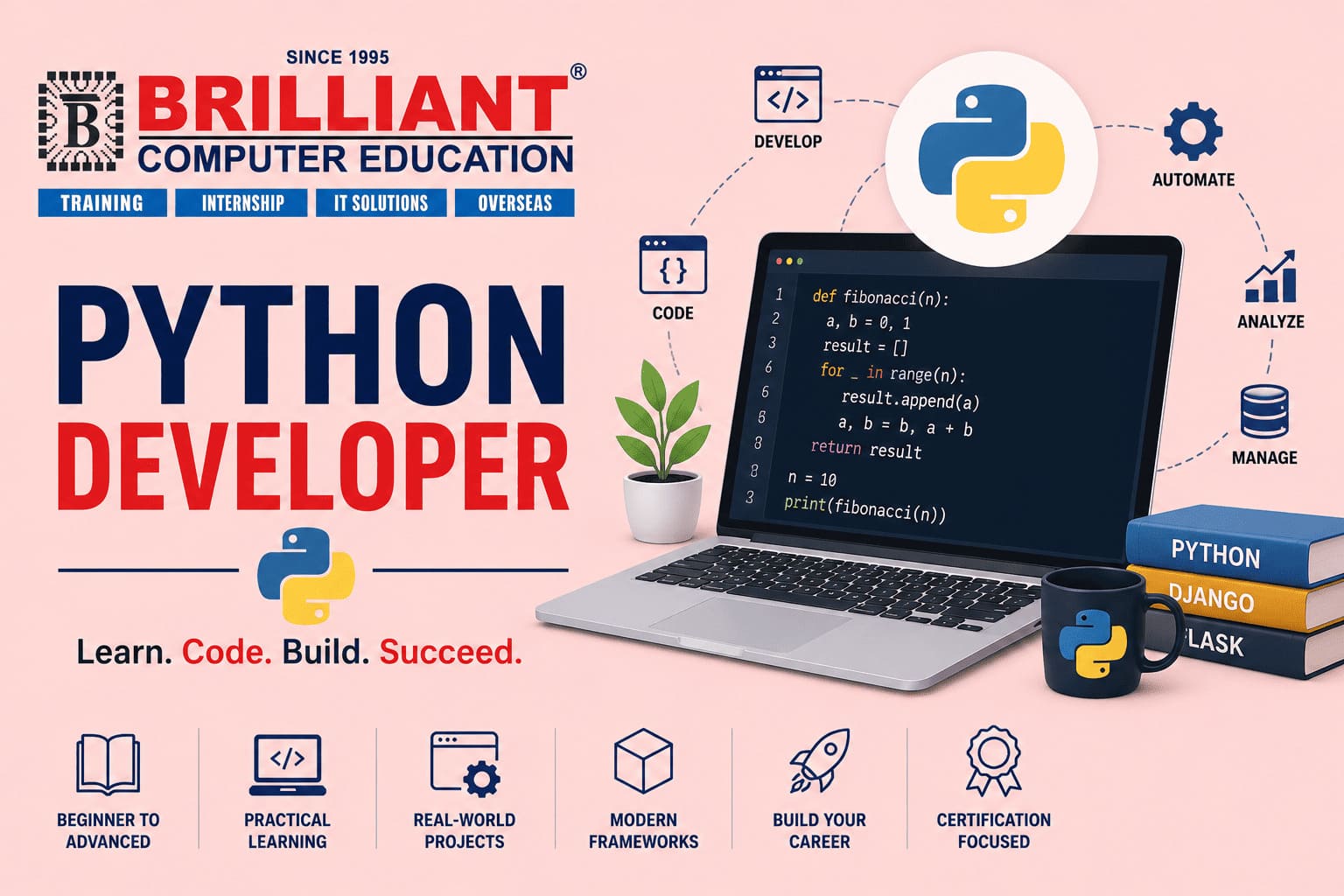 Python Developer